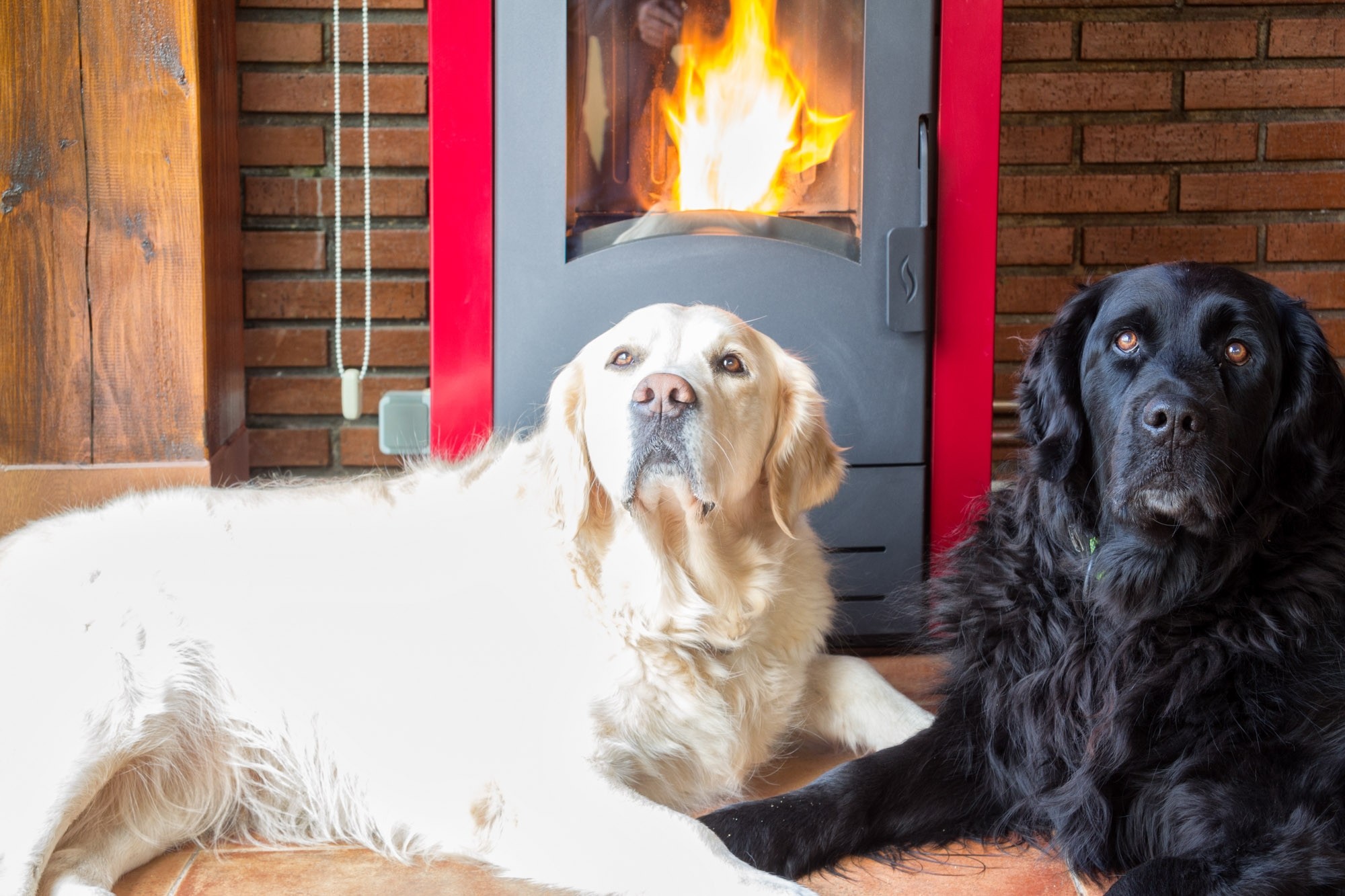 Calderas de Pellets Hidroestufas GasNature Bilbao Vitoria GasNature 5